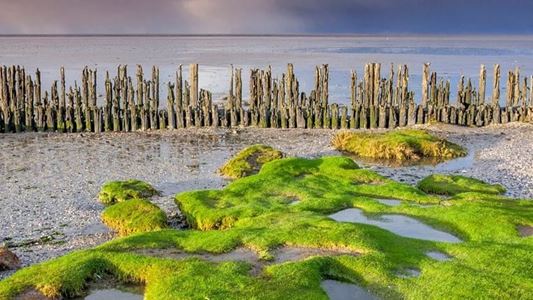 Picture of تست مناقصه تک مرحله ایی 26 آذر